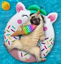 Dogicorn pug in pool on inflatable white ring