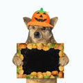 Dog with halloween blank poster