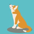 Dog puppy husky, vector illustration ,flat style