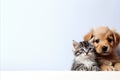 Dog Puppy and Kitten Sitting Together, Captivating the Camera with Space for Text