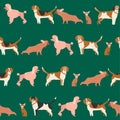 Dog puppy pattern seamless in vector