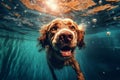 dog puppy pool funny fun vacation water underwater swimming snorkeling. Generative AI.