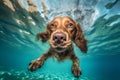 dog fun funny puppy underwater water swimming vacation pool snorkeling. Generative AI. Royalty Free Stock Photo