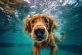 dog puppy water funny underwater swimming snorkeling vacation fun pool. Generative AI. Royalty Free Stock Photo