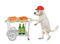 Dog pushes table trolley with seafood 2