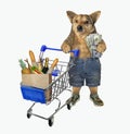 Dog pushing shopping cart 2