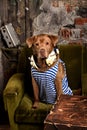 Dog radioman in retro style