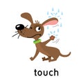 Dog and raindrops. One of five senses. Touch illustration