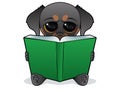 Dog reading a green book