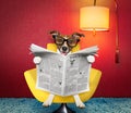 Dog reading newspaper at home Royalty Free Stock Photo