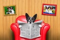 Dog reading newspaper Royalty Free Stock Photo