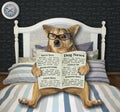 Dog reads newspaper in his bed Royalty Free Stock Photo