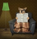 Dog reads a newspaper near a floor lamp Royalty Free Stock Photo