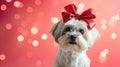 dog with red bow on head, clean pastel background