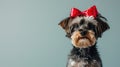 dog with red bow on head, clean pastel background