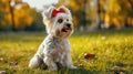 dog with red bow on head, clean pastel background