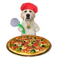 Dog chef cutting pizza 2