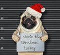Dog Santa stole Christmas turkey 2