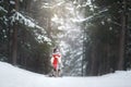 Dog in a red scarf in the forest. Border Collie in winter. Pet on a walk Royalty Free Stock Photo