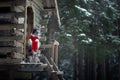 Dog in a red scarf at the wooden house. Border Collie in winter. Pet at walk Royalty Free Stock Photo