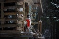 Dog in a red scarf at the wooden house. Border Collie in winter. Pet at walk Royalty Free Stock Photo