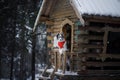 Dog in a red scarf at the wooden house. Border Collie in winter. Pet at walk Royalty Free Stock Photo