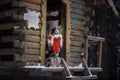 Dog in a red scarf at the wooden house. Border Collie in winter. Pet at walk Royalty Free Stock Photo