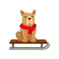 Dog in red warm scarf sitting on sled. Home pet. Domestic animal. Christmas gift. Flat vector design