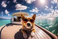 Dog relax on the beach. Created with generative Ai technology. Royalty Free Stock Photo