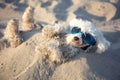 Dogs buried in the sand at the beach on summer vacation holidays