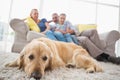 Dog relaxing on rug with family in background Royalty Free Stock Photo