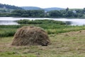 Dog resting near the hay