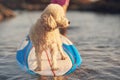 Dog riding on surf board Royalty Free Stock Photo