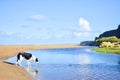 Dog reflections river water ripples black and white blue Royalty Free Stock Photo