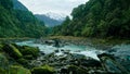 Dog rock, Copland River, Westland Tai Poutini National Park, west coast region, New Zealand Royalty Free Stock Photo