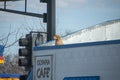 Dog on the roof Royalty Free Stock Photo