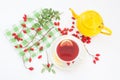 Dog rose autumn or winter healthy tea for strong immune system