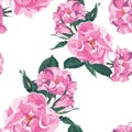 Dog-rose blooms. Wild violet rose vector seamless pattern. Template for textiles, paper, wallpaper.