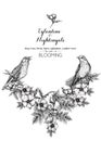 Dog-rose, briar, brier, eglantine, canker-rose and nightingale Royalty Free Stock Photo