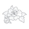 Dog Rose Flower Monochrome Drawing For Coloring Book