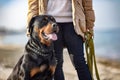 A dog of the Rottweiler breed sits near the hostess in a jacket on the beach against the backdrop of the sea Royalty Free Stock Photo