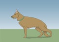 dog running after the ball, color, vector Royalty Free Stock Photo