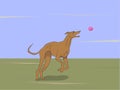 dog running after the ball, color, vector, Royalty Free Stock Photo