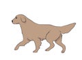 Dog running, color, vector