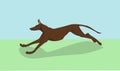 Dog running, color, vector Royalty Free Stock Photo