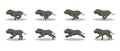 American Bully Running Side Cartoon Animation Frame Vector Royalty Free Stock Photo
