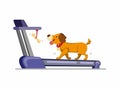 Dog running in treadmill to get bone. training dog to run or walk in home. cartoon flat illustration vector isolated in white back