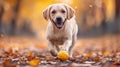 A dog running with a yellow ball in its mouth, AI Royalty Free Stock Photo