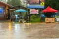 A dog runs across the road gets wet in the rain in the village of Thailand. Tropical downpour Royalty Free Stock Photo
