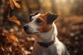 Dog russel terrier park. Generate Ai Royalty Free Stock Photo